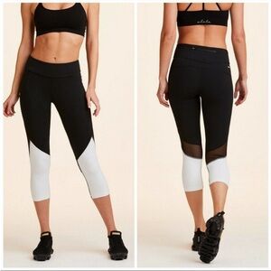 Alala Captain White and Black Mesh Leggings